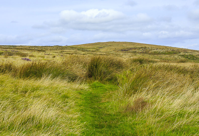 Abney Moor Abney Moor